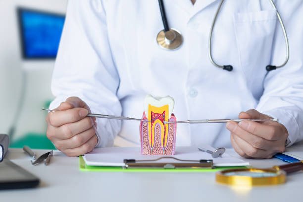 Best Urgent Care for Lost Fillings or Crowns in Sale Creek, TN